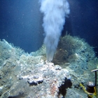  Deep Sea Vents Ecuador – Wonder of The World