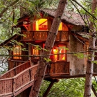 The Best Treehouse Hotels of Summer 2018