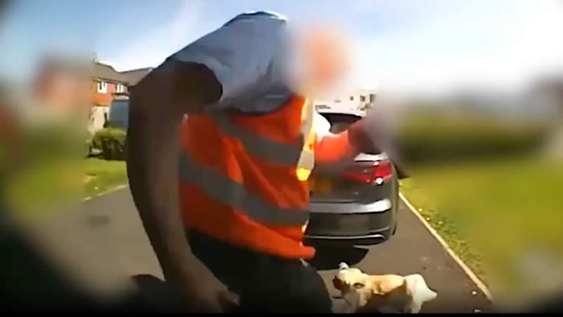 Postman Kicking Family's Dog