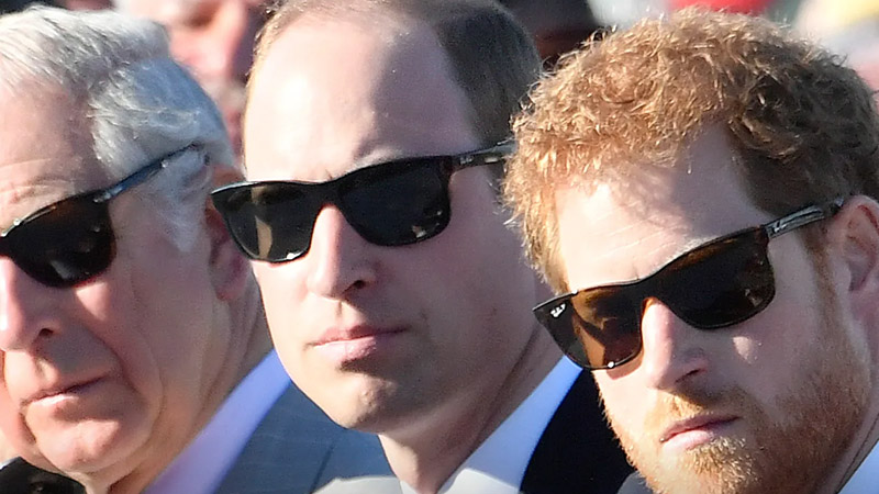 William and Prince Harry