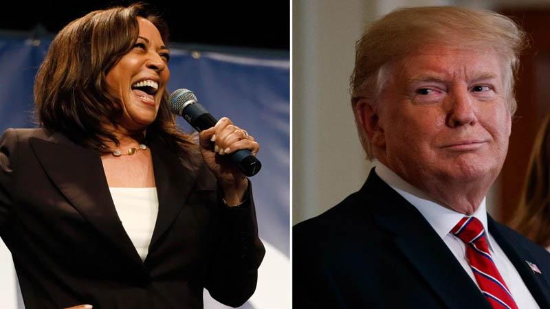 trump and harris