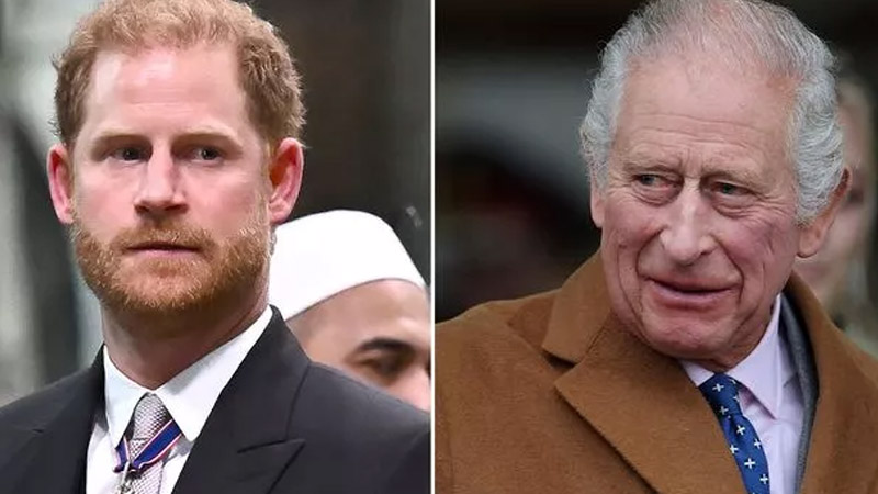  Prince Harry Faces Major Hurdle in Family Reunion as He Sues Government and King’s Ministers