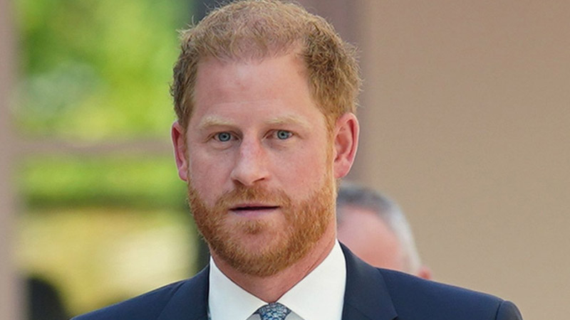  Prince Harry Warned Against Risky Netflix Ventures, Caution Over Royal Criticism