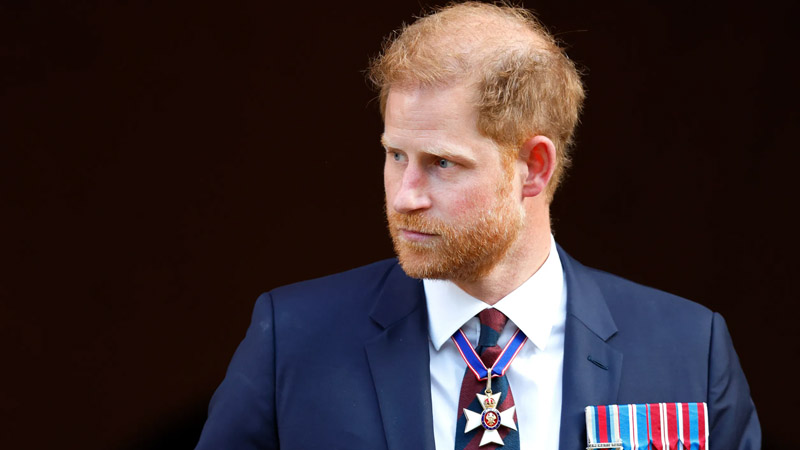  Prince Harry Reportedly Reassessing Life in California Amid Career Uncertainty