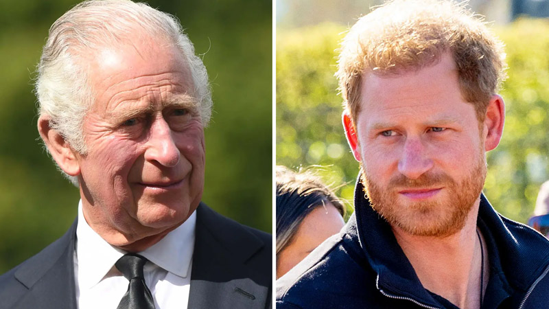  Prince Harry Receives Stark Warning Over Relationship with King Charles Amid Health Concerns