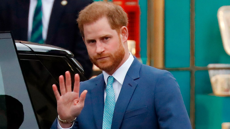  Prince Harry Was told to seek ‘Therapy’ to Understand the Grass ‘Isn’t Always Greener,’ says royal expert