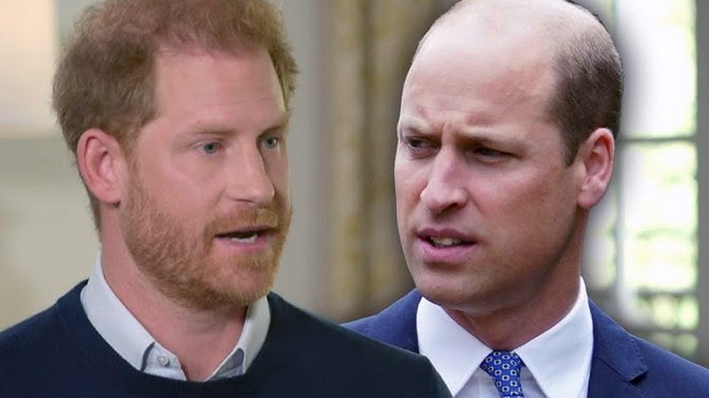  Prince William’s Reasons for Distancing Himself from Prince Harry Revealed