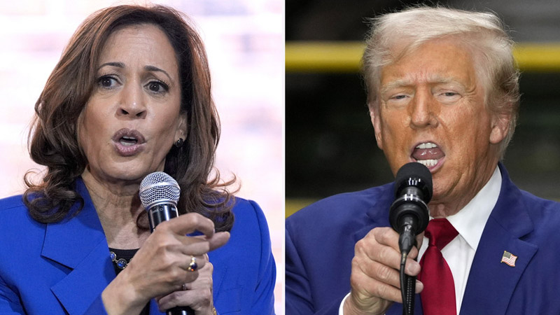  “I Would Rather Be Her Than Him”: Dowd Sees Harris in Stronger Position Than Trump as Election Nears