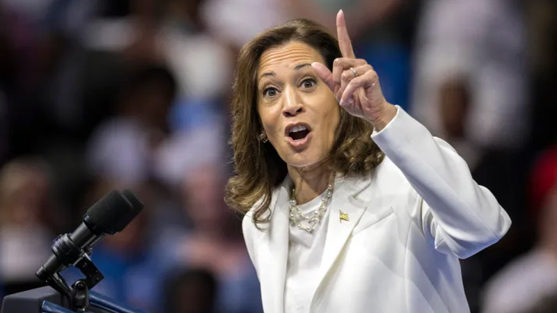  “She’s Going to Own All 68% of That Disapproval”: GOP Strategist Criticizes Kamala Harris’s Speech Optics at the White House