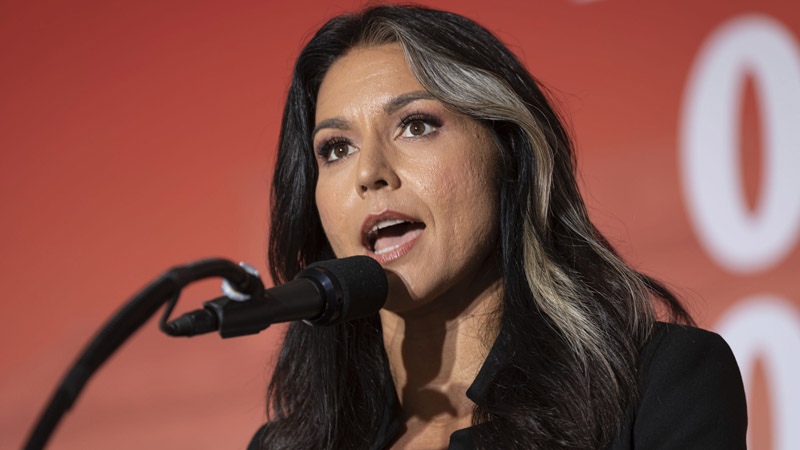  Tulsi Gabbard Nomination Sparks Outrage Among Hardcore MAGA Base, Analyst Warns