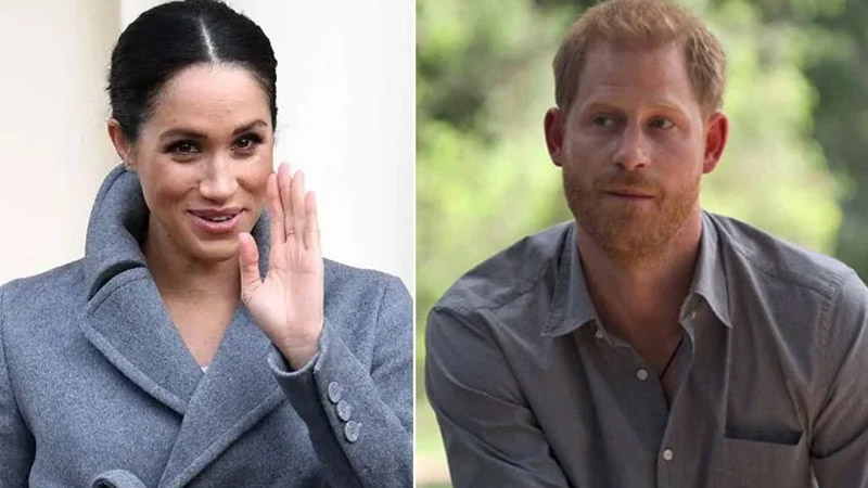  Experts Say Prince Harry May Face a Lonely Christmas as Meghan Prefers to Stay in the U.S