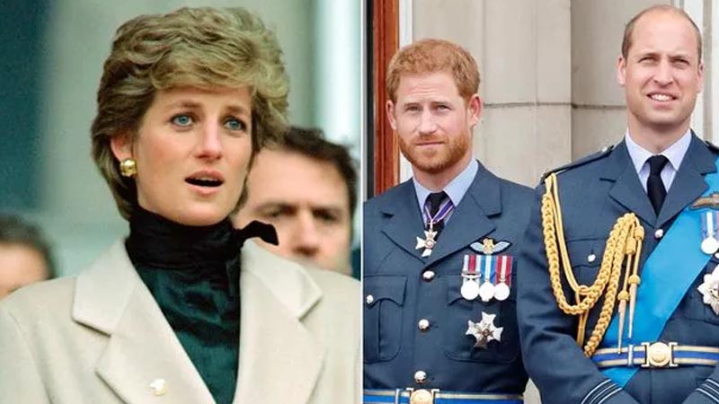  Insider Claims Princess Diana Could Have Reconciled Harry and William, Preventing Public Feud