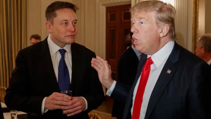 trump and elon musk